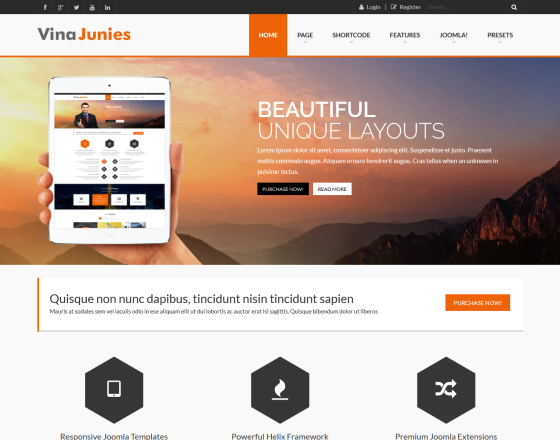 Vina Junies - Responsive Corporate Joomla 3.x Template