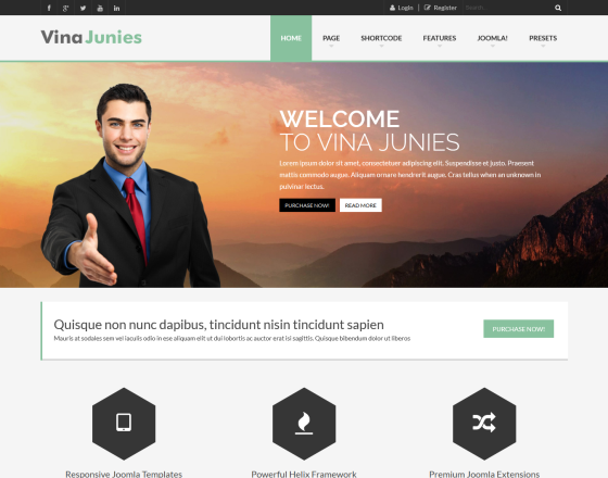 Vina Junies - Responsive Corporate Joomla 3.x Template