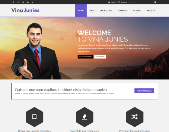 Vina Junies - Responsive Corporate Joomla 3.x Template